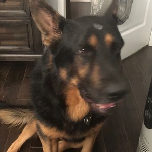 Meet your Posher, Doshi